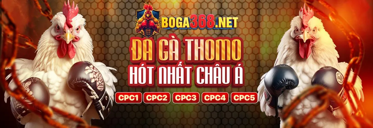 Đá gà KV888 Login - Trận đấu kịch tính